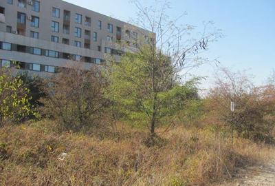 Prelungirea Ghencea Iernii - 3