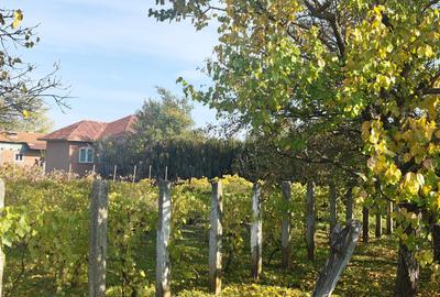 Anunț Vânzare Proprietate Rurală – sat Bușca, comuna Mihăiești, județul Olt - 3