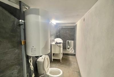 Spațiu industrial  – Zona Victoriei – Str. Teodosie Rudeanu nr. 41, - 6