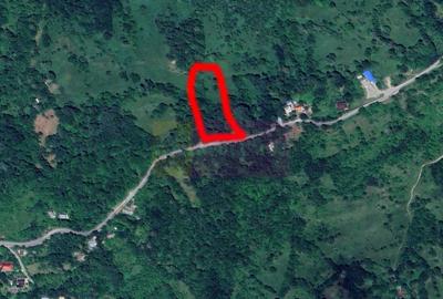 Teren intravilan de vanzare in Telega - 13