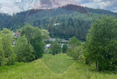 Teren 6,865mp Voroneț / Gura Humorului / Bucovina - 20