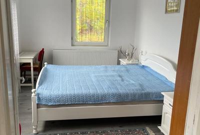 Casa 216mp cu vie si livada, 2500 mp teren – Horodistea, comuna Cotnari, Iasi - 13