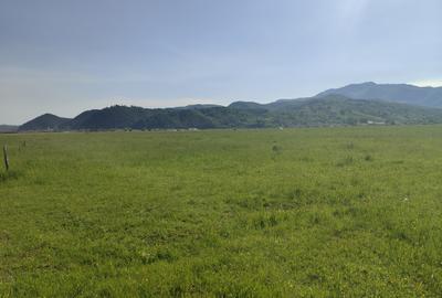Teren Intravilan  cu destinatie casa vacanta Rasnov -Glajarie - 8
