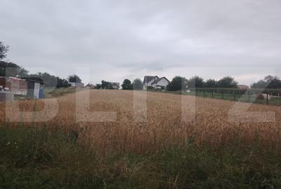 Teren Construcții intravilan de 1696 mp, în Exterior Sud