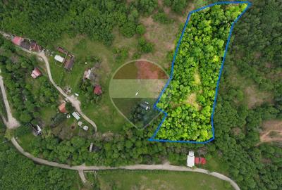 Teren Construcții intravilan de 6700 mp, în Pietroasa