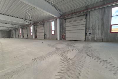 HALĂ INDUSTRIALĂ MODERNĂ DE VANZARE| CHITILA | ACCES RAPID CENTURA - 5
