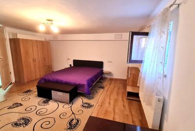 Apartament 2 camere la demisolul unei case,  zona Sub Arini - 6