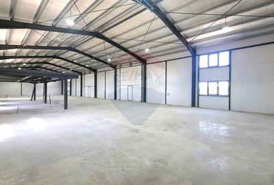 Închiriere hală industrială în Feldioara jud Brașov, suprafață 580 mp - 11
