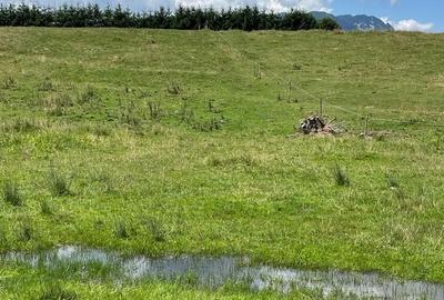 INVESTIȚIE | Teren 5000 mp PUZ APROBAT intravilan - zona Sohodol -Bran - 11