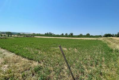 Teren 1165mp | proiect autorizat pt Casa | Zona Oarda de Jos - Alba Iulia - 4