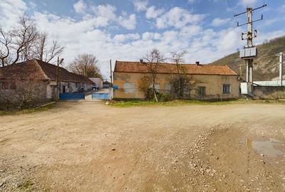 Fabrica prelucrare lemn de vanzare – Lipova, Arad - 15