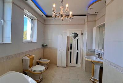 Lugoj, Vila De Lux, 7 Cam., La Cheie,  300 Mp., Utili, 635 Mp., Teren, Privelist - 14