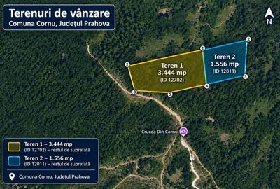 Teren extravilan 5000 mp,in Plai Cornu , jud Prahova - 4