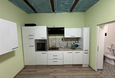 Casa 4 camere + 8418 mp de teren - 3