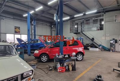 Spațiu industrial, de 300 mp, în Ampoi 1