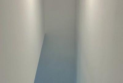 Duplex cu 3 camere si teren de 300 mp, zona Dumbravita - 13