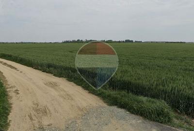Teren intravilan de vanzare 1455 mp, Dragomiresti-Vale - 5