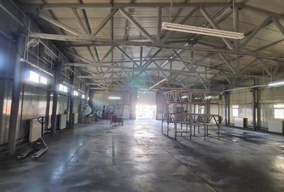 OTOPENI ODAILE HALA Productie si depozitare 1000 MP - 2