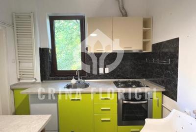De inchiriat Vilă, 4 camere, 3 dormitoare, Curte /grădină, Herăstrău- Primaverii - 11
