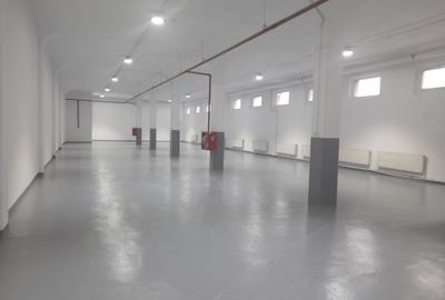Spatiu de depozitare | productie | Valea Cascadelor - 4