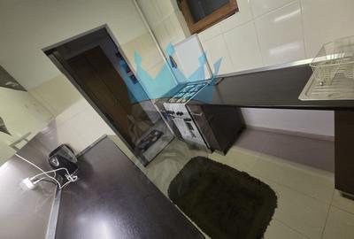 Apartament 2 Camere Gara de Nord Bucuresti - 7