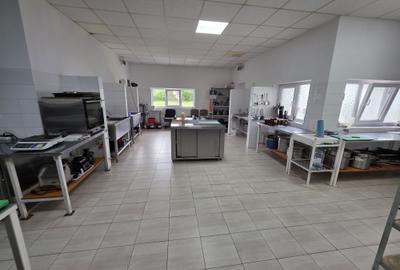 Oportunitate de investiție – Restaurant Cebza - 5