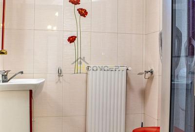 Vila spatioasa pt doua familii 10 camere Clinceni Monumentul Eroilor - 26