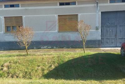 Casă individuală cu 4 camere în Păltiniș