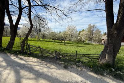 Teren intravilan 1355 mp in zona Bran, judetul Brasov - 2