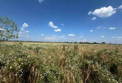 Teren agricol extravilan de 3800 mp, în Exterior Nord