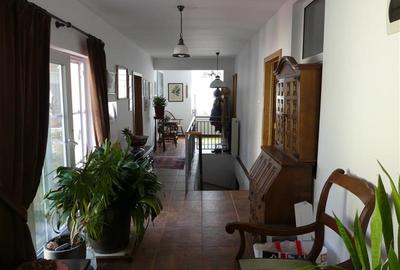 Casa tip Parter, amprenta 346 mp, teren 7241 mp, POGOANELE - 11