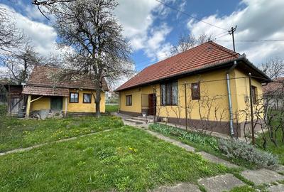 Casă individuală cu 2 camere în Leordeni