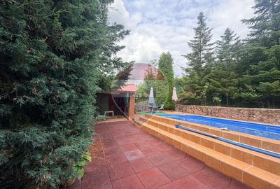 Leamna de sus, casa cu piscina, 2000mp - 9