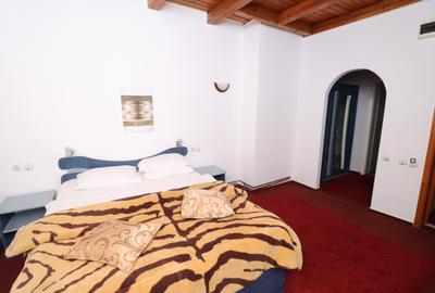 Vila turistica de vanzare in Zamora, Busteni - 5
