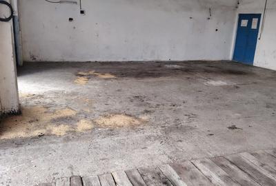 Inchiriez hala pentru depozitare Deva - 2
