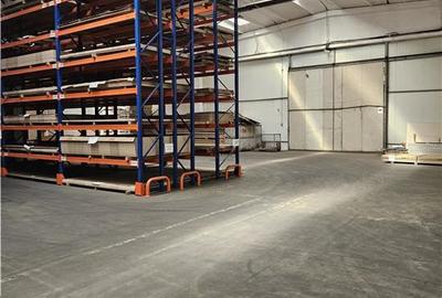 Spatiu Industrial - 4500 mp - Productie - Depozitare - Distributie - 3