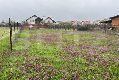 Teren Construcții intravilan de 650 mp, în Malu Mare
