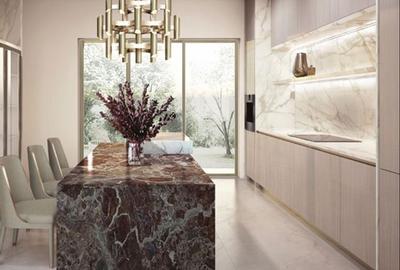 Unicat Greenhouse exclusivista - smarthome - Scoala Americana - Padurea Baneasa - 12