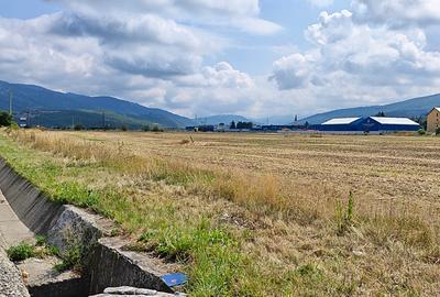 Teren intravilan industrial, DN1A Sacele - Brasov. - 7
