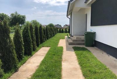 Vila individuala, 4 camere  Strada Asfaltata - Comuna Berceni - 9