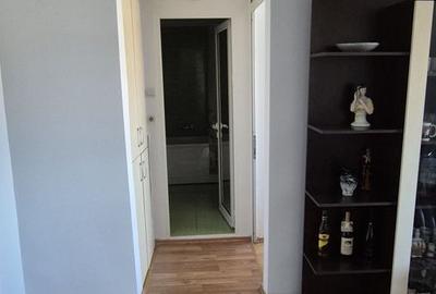 Apartament de vanzare 3 camere 46mp utili mobilat utilat boxa Ampoi 3 - 6