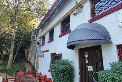 Restaurant, Delfinului, parc Ostrov - 16