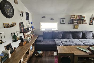 Casă individuală cu SAD, P+M, 2 apartamente, Timișoara, zona Lipovei, comision 0 - 29