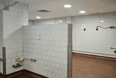 VILĂ P+1 CU SPAȚIU DE PRODUCȚIE ȘI BIROURI – ZONA ȘTEFAN CEL MARE - 9