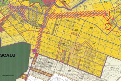 Dascalu-Creata-25.571 mp intravilan - 5