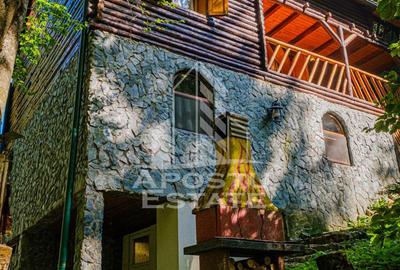 Pensiune, casa de vacanta, 6 camere, statiunea Rausor din Hunedoara - 11