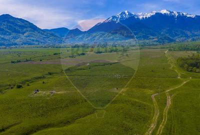 Teren 1ha, extravilan Rasnov / Agricultură sau fermă/ COMISION 0% - 8
