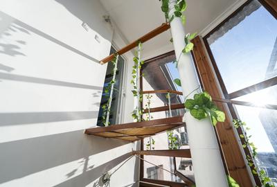Spatiu comercial/de birouri elegant pentru afacerea ta, Brestei-zona Obedeanu - 16
