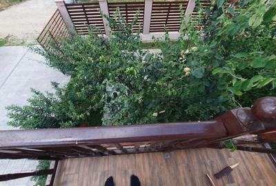 FARA COMISION casa 4 camere 2 bucatarii 2 puturi beci livada 1500mp SAU 3300mp - 36