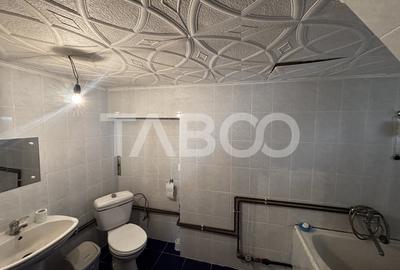 Casa cu gradina de vanzare  , curte + pivnita zona Terezian Sibiu - 9